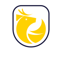 Logo Liga de Primera